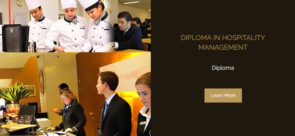 diploma